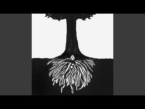 Hummingbird - Eryn Allen Kane