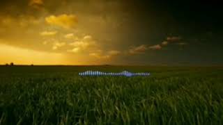 Code blue - The dream