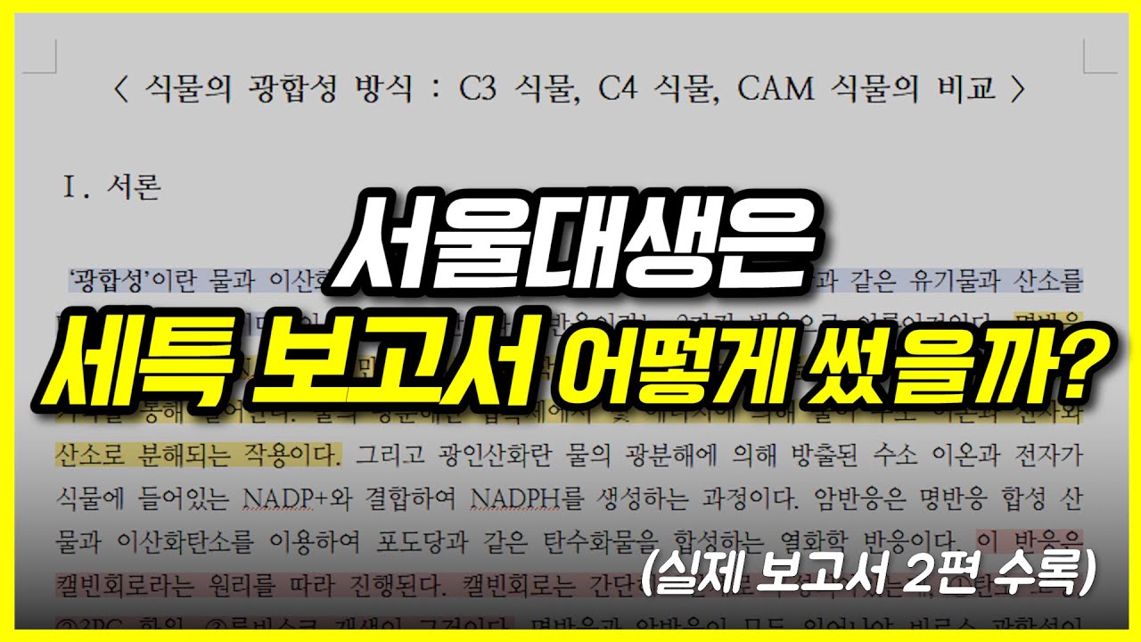 서울대생의 실제 세특 보고서 + 세특 작성법 공개합니다