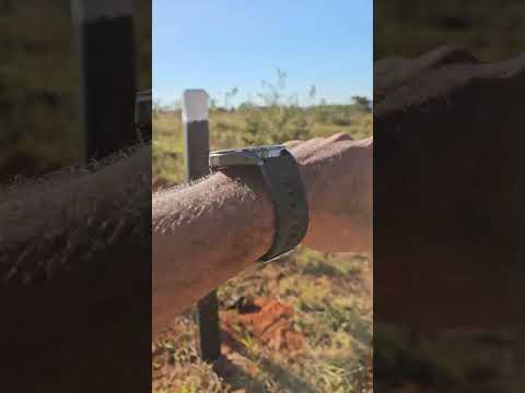 🌳 CHÁCARA N° 03 À VENDA EM ALEXÂNIA-GO | 20.000m² DE TERRA VERMELHA | A APENAS 5 KM DO OUTLET!