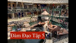 Đàm Đạo Tập 5