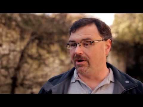 BTO Cuckoo Tracking Project - the story so far