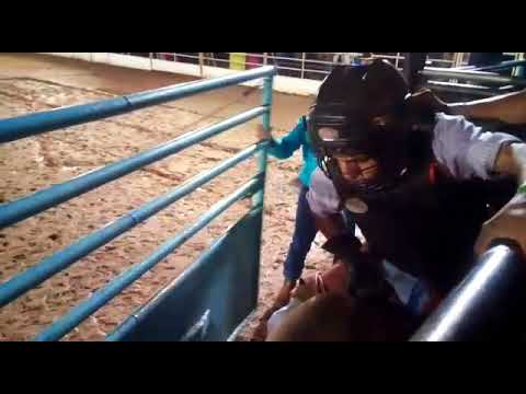 Paulo Teixeira vs Fantoche W.Peres