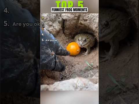 🐸 Top 5 Funniest FROG MOMENTS 🐸 #shorts