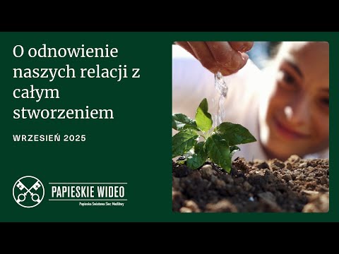 Papieska intencja na wrzesień: o odnowę relacji ze stworzeniem