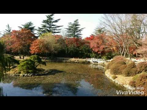 Templo Bulguksa (Gyeongsangbuk-do, Coreia)