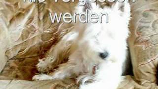 Nicole ich kann dich nicht vergessen