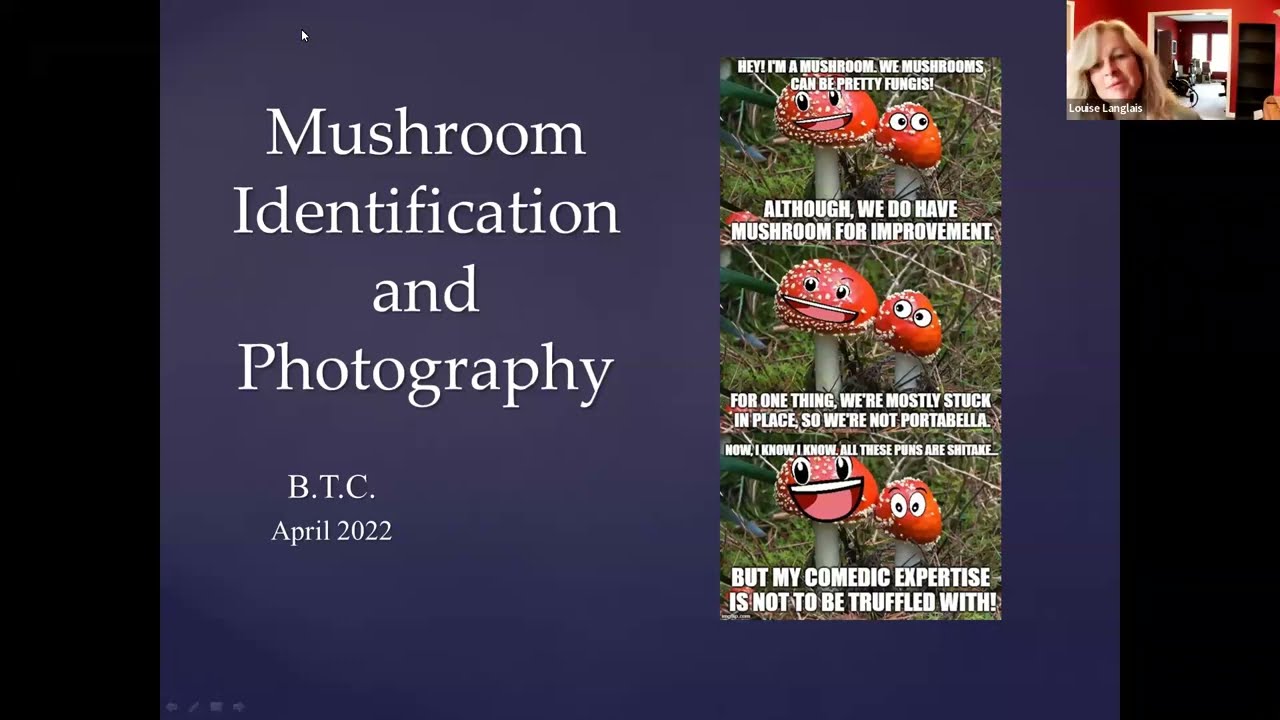 Mushroom Identification and Photography