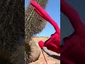 31 minutos - Quédate quieto un momento