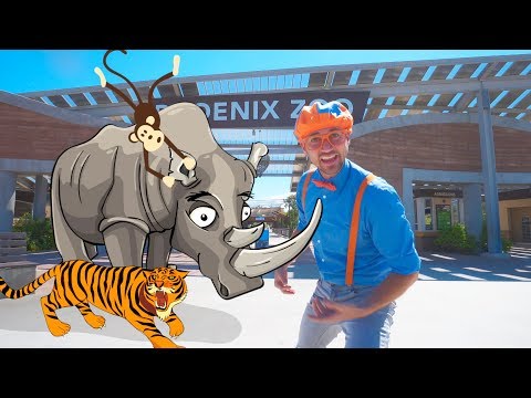 zoo vip krémbalzsam ízületekhez ízületi sérülés és hemarthrosis