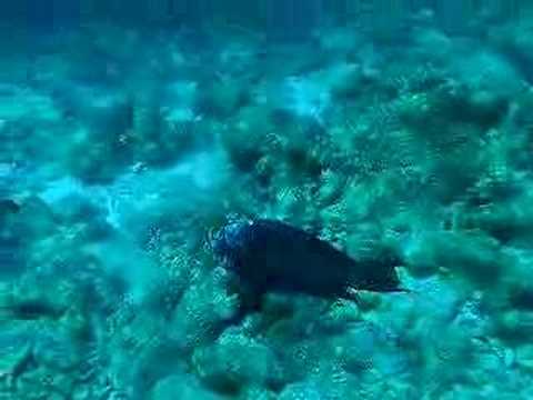 Bonaire, Bonaire,Niederländische Antillen