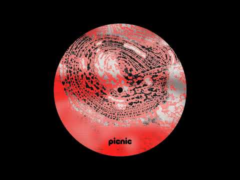 Shkedul - Undisclosed [PICNIC010]