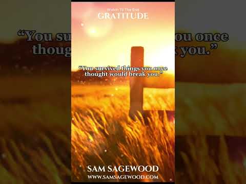 Gratitude - Sam Evans