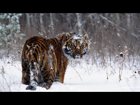 Hellboy WB - Stars x TheUnion - 19/06/2021 - ThePW