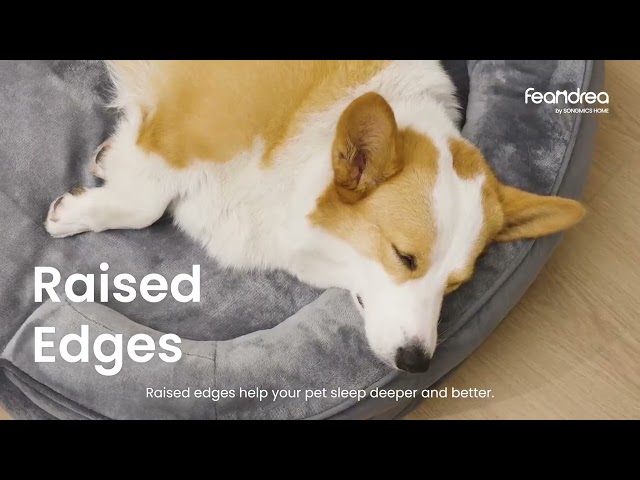 Vídeo relacionado con Feandrea Cama Ortopédica para Perros, Sofá, Cama para Mascotas, Acolchado Suave, Bordes Elevados, Funda Extraíble y Lavable, 122 x 85 x 20 cm, Antideslizante, Gris Osucro PGW078G01