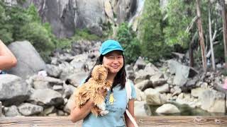 DOG FRIENDLY Spots at YOSEMITE National Park with Penny&Kloud