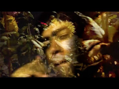 Don Sinini - Folly (Official Video)