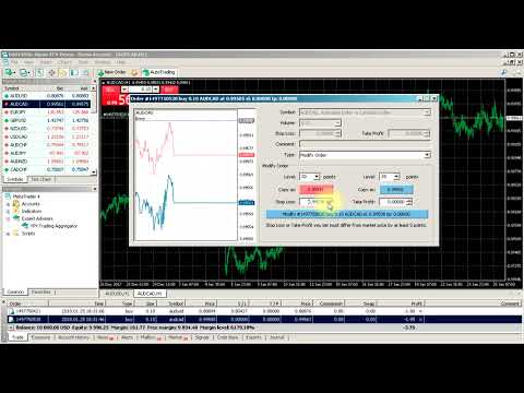 Video YPY Trading Aggregator