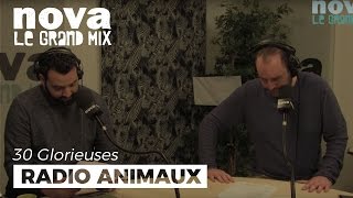 Radio Animaux : Saturnin le canard | Les 30 Glorieuses - Nova