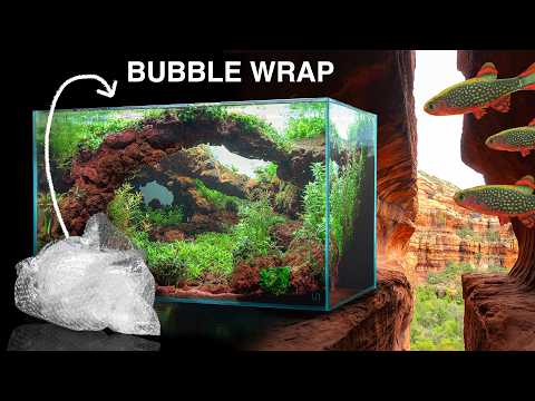 Building a Plastic-Eating Experimental Ecosystem | Inspired by Sedona, AZ