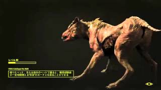 fallout4 ゲーム実況～レジェンダリー探し編～　＃１
