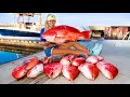 Caught Our Limit of Giant RED SNAPPER! Catch Clean Cook! Deep Sea Adventure (Gulf of Mexico Fishing) - Darcizzle Offshore Caught Our Limit of Giant RED SNAPPER! Catch Clean Cook! Deep Sea Adventure (Gulf of Mexico Fishing)