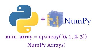 Python - NumPy Arrays!