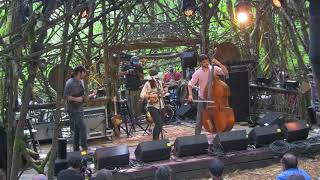 Sierra Hull - Queen of Hearts / Royal Tea - Pickathon Music Festival