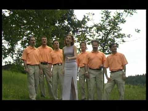 ANSAMBEL PETOVIO - Želim si želim