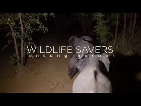 Wildlife Savers, unsung heroes