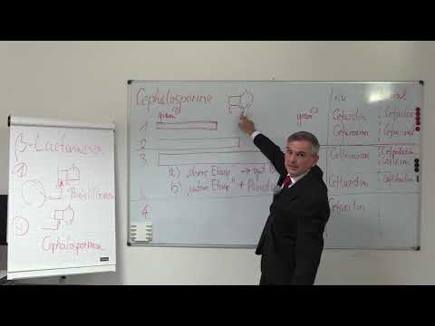 33. Antibiotika, Teil 4 (Wichtige Reserveantibiotika), NKLM Nr. 16.5.1.61d)