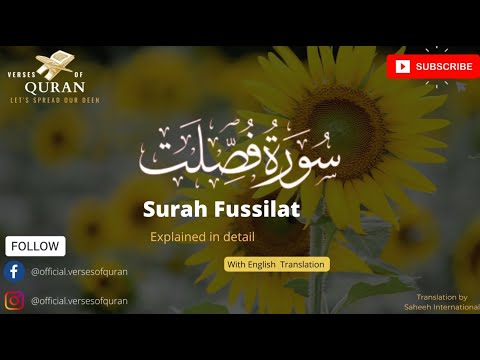 Surah Fussilat(Explained in Detail) 41  سورة فصلت‎ |Para 24, 25 Beautiful Quran Recitation HD