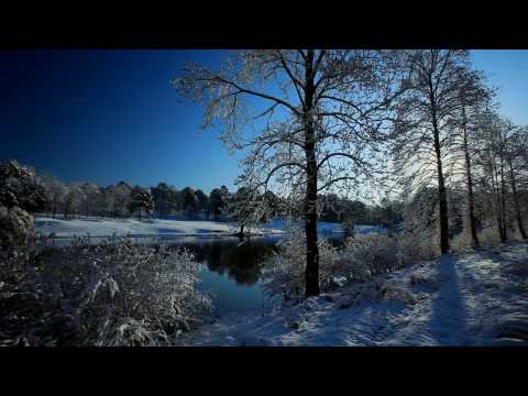 Zero-Project ~ Silence