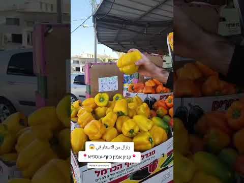 רעידת אדמה של מחירים בקניון אמין כיוף עוספיה