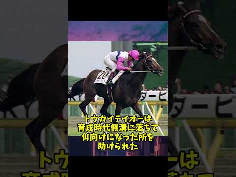 ガブリエル・アルシッペ・マヒストルについて詳しく解説