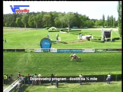 8. 5. 2015 - doprovodný program - dostih na 1/4 míle