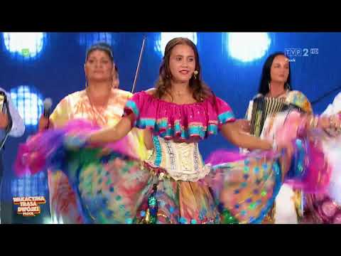 05 - Werda - VASYL JUNIOR & ELZA - LMZ WTD - Płock 2021 r.