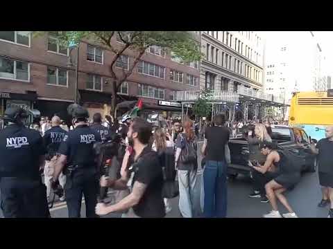 Pro Palestinian Rally