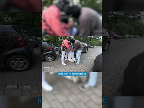 🚨🚔 Hamburger Polizei stoppt Fahrer eines Koks-Taxis #shorts #hamburg #blaulicht #nachrichten