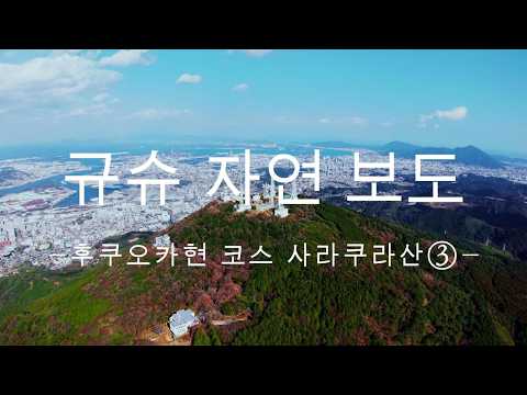 규슈 자연보도 후쿠오카현 사라쿠라산 코스③