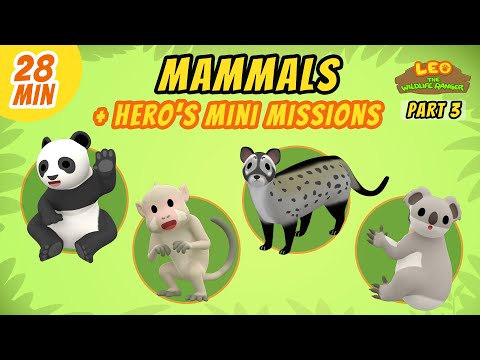 Witness21 Editor  2021 04 10