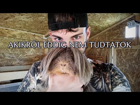 divia karcsúsító és esztétikai központ johannesburg