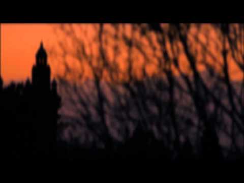 The Pastels - Kicking Leaves (Official Video)