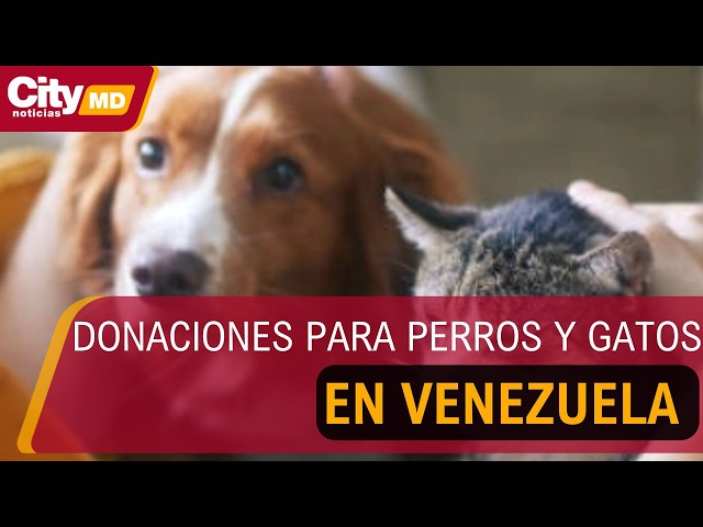 Activan campañas de recolección para los animales afectados en Venezuela