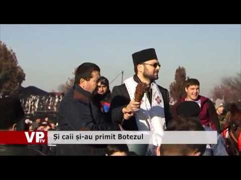 Și caii și-au primit Botezul