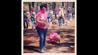 CCSPCA Volunteer of the Year
