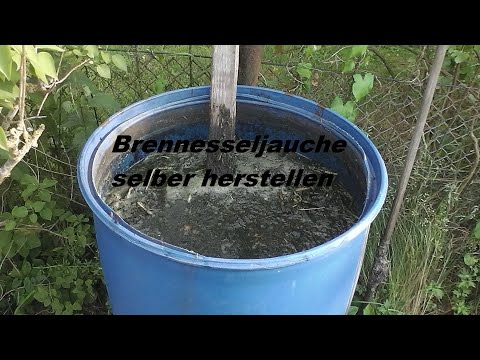 Brennesseljauche selber herstellen 2020