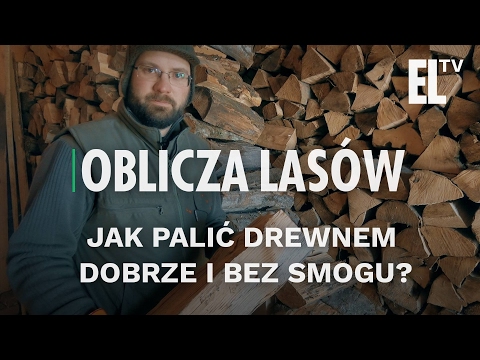 Witaminy dla wzrostu mięśni u psów Jak swing mięśnie barków domów