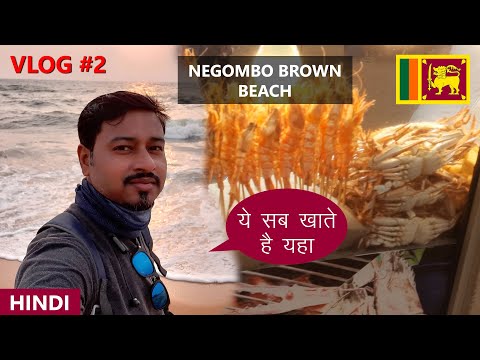 Negombo Brown Beach | Shama Beach | Sri Lanka Series | DJ Backpacker | Must Watch
