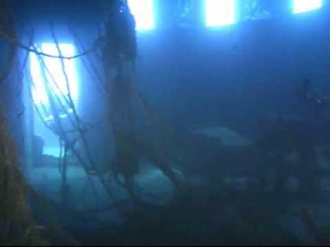 Madeira Tauchen am Wrack der Bowbelle / Bom Rei, Madeira/Funchal,Portugal